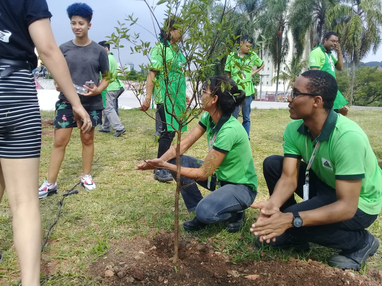 Equipe de empresa local na plantação de mudas
